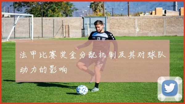 法甲比赛奖金分配机制及其对球队动力的影响