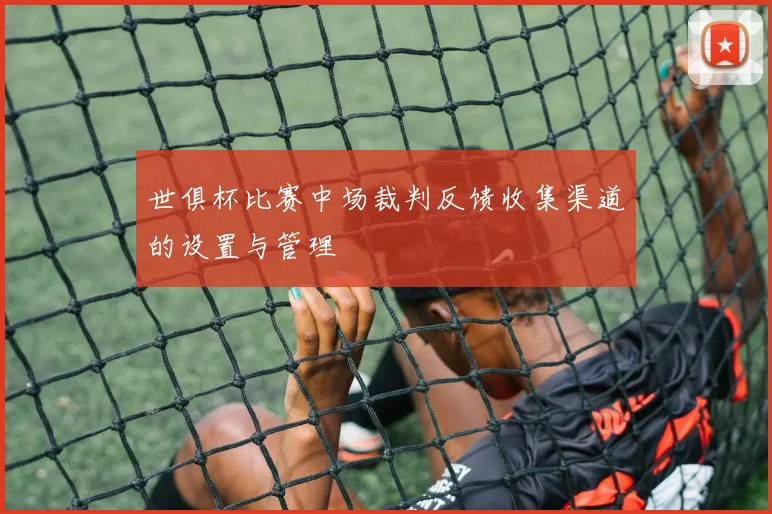 世俱杯比赛中场裁判反馈收集渠道的设置与管理