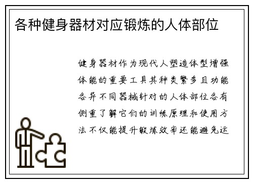 各种健身器材对应锻炼的人体部位